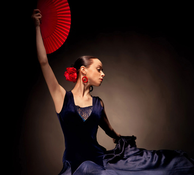 Flamencodansgroep boeken