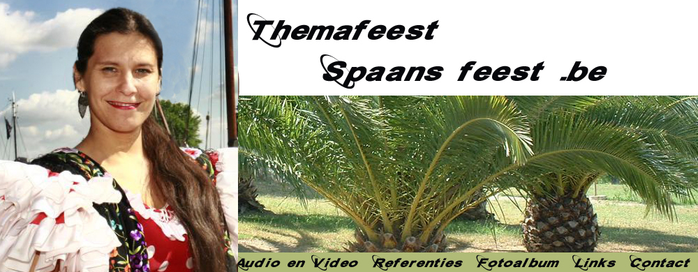 themafeest spaans feest